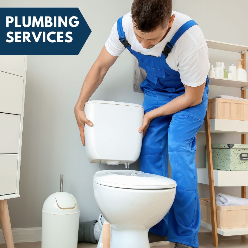 Plumbing Company in Michigan Center, MI
